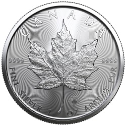 Buy 2022 Canadian Silver Maple Leafs - Lowest Price Online