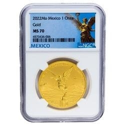 2022 1 oz NGC MS-70 Mexican Gold Libertad Coin 2022 1 oz NGC MS-70 Mexican Gold Libertad Coin