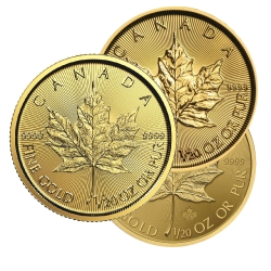 1/20 oz Canadian Gold Maple Leaf Coin - Random Year