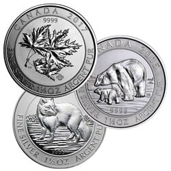 1.5 oz Royal Canadian Mint Silver Coins - Random Design