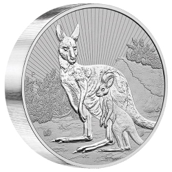 2023 10 oz Australian Next Generation Kangaroo Silver Coin 2023 10 oz Australian Next Generation Kangaroo Silver Coin