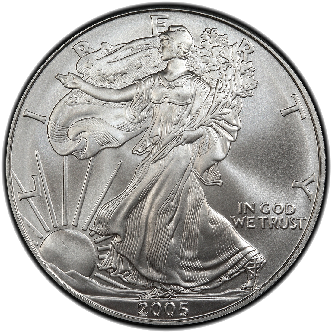 2005\u0020American\u0020Silver\u0020Eagle\u0020Coin
