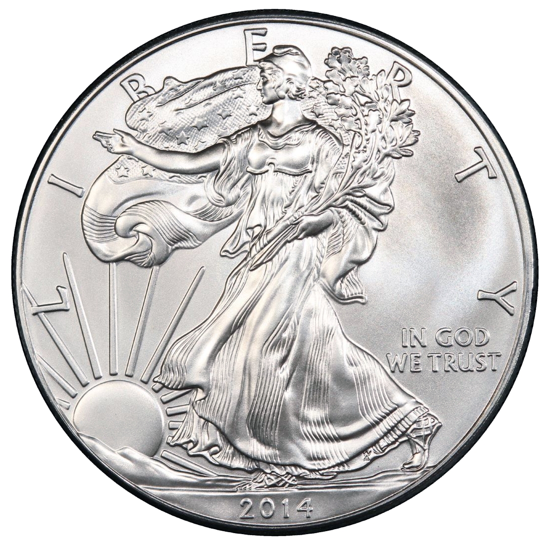 2014\u0020American\u0020Silver\u0020Eagle\u0020Coin