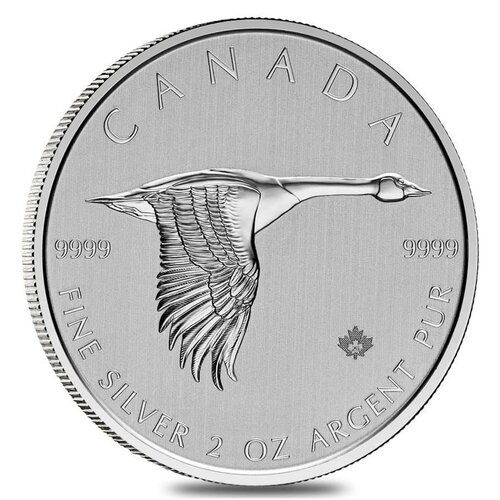 2020\u00202\u0020oz\u0020Canadian\u0020Goose\u0020Silver\u0020Coin