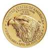 2023 1/10 oz American Gold Eagle Coin BU