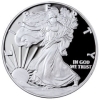 US Silver Eagle Proof Coin - Random Year