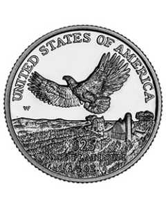 1/4 oz American Platinum Eagle Proof Coin - Random Year - Reverse