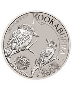 2023 PE Platinum Kookaburra 1/10 oz Coin - Reverse