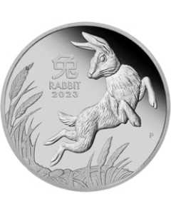 2023 1 oz Perth Mint Platinum Lunar Rabbit Proof Coins - Series III