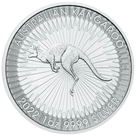 Australian Silver Kangaroo