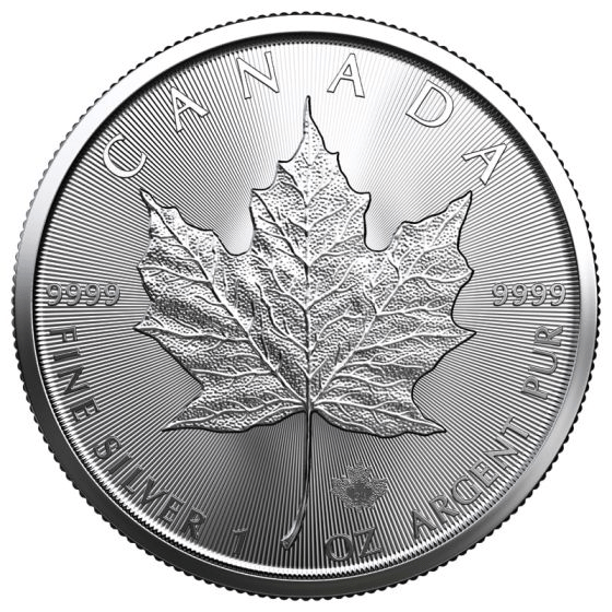 Canadian Silver Maple Leaf