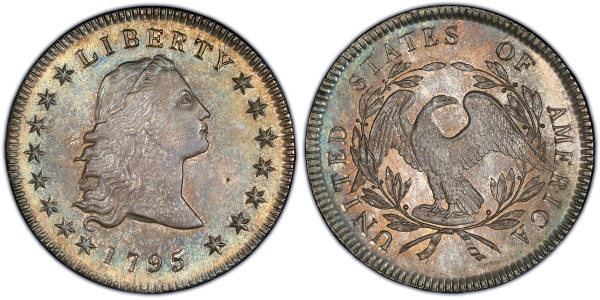 Flowing Hair Dollar