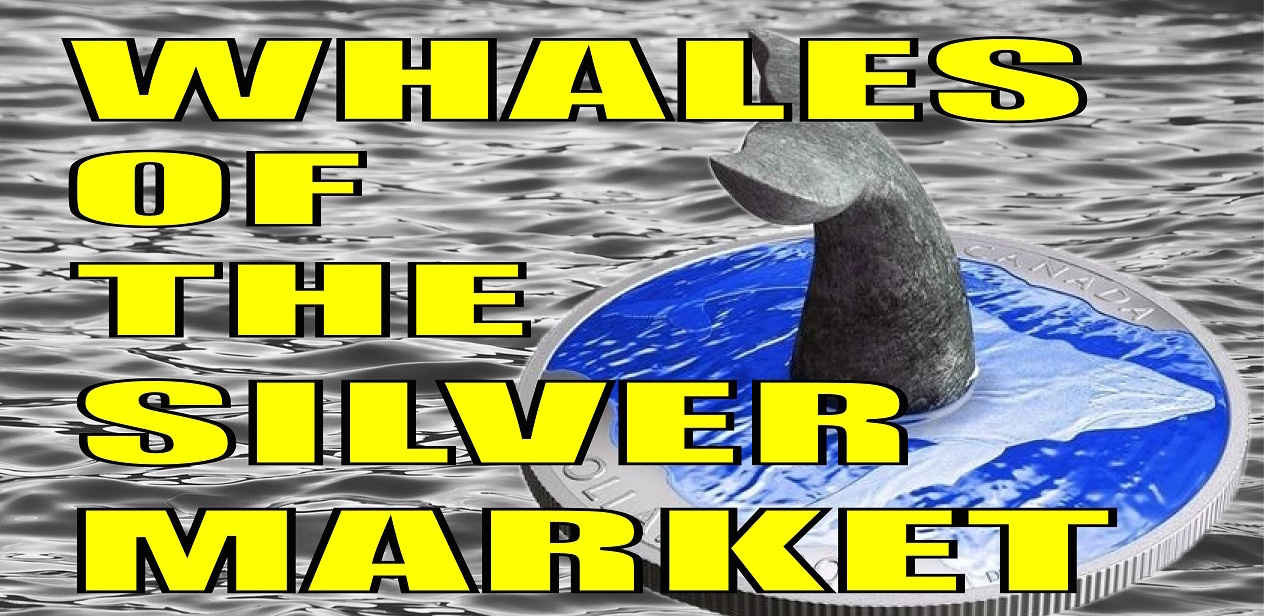 Who owns the most Silver Bullion? | Ag Whales in the Fully Fiat Era